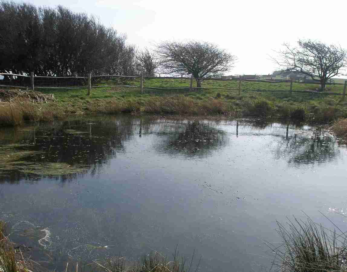 Jill's Pond
